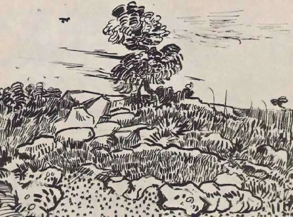 van Gogh Drawings: Rocks With Oak Tree