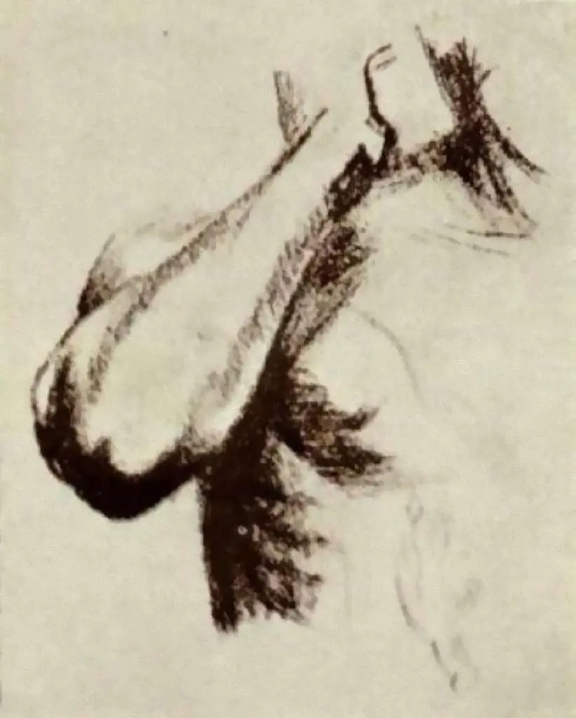 van Gogh Drawings: Sketch Of A Right Arm And Shoulder