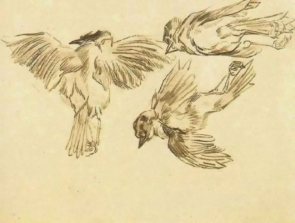 van Gogh Drawings: Studies Of A Dead Sparrow