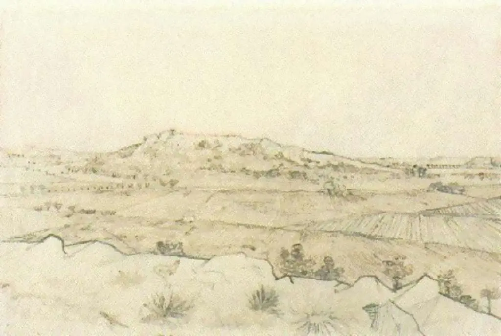 van Gogh Drawings: The Plain Of La Crau