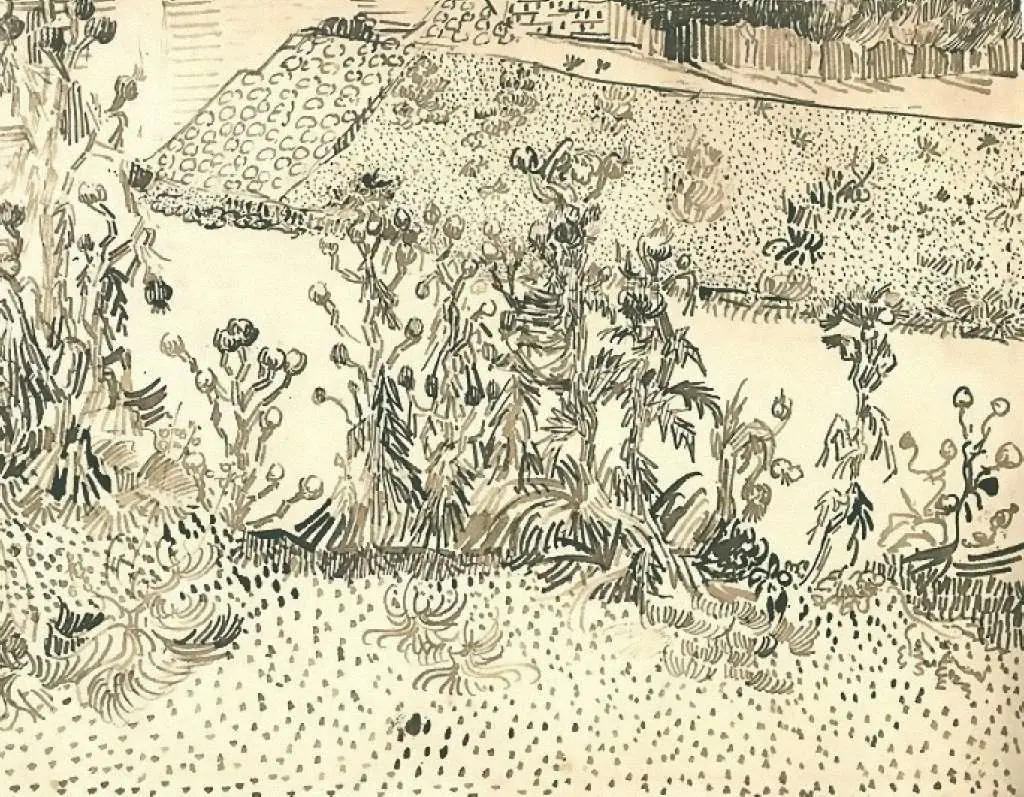 van Gogh Drawings: Thistles Along The Roadside