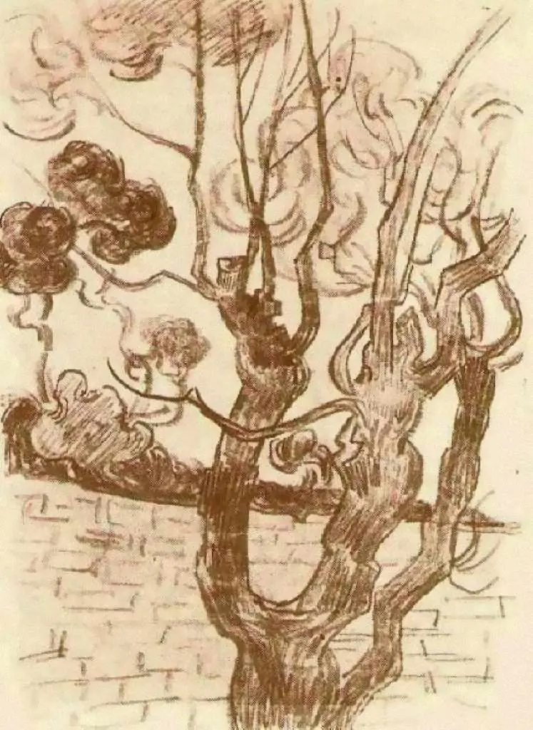 van Gogh Drawings: Treetop Seen Against The Wall Of The Asylum