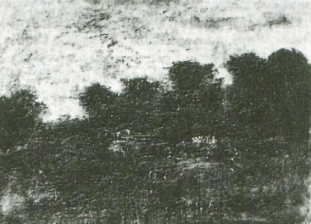 van Gogh Early Paintings 1881-83: Cows In The Meadow