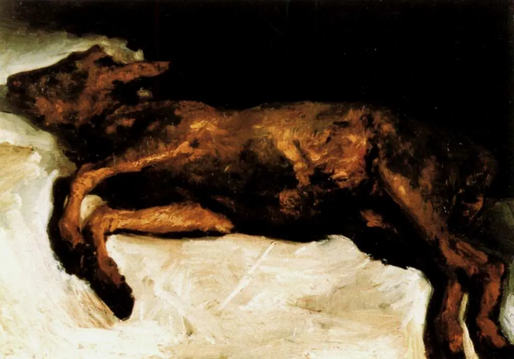 van Gogh Nuenen 1883-85: New Born Calf Lying On Straw