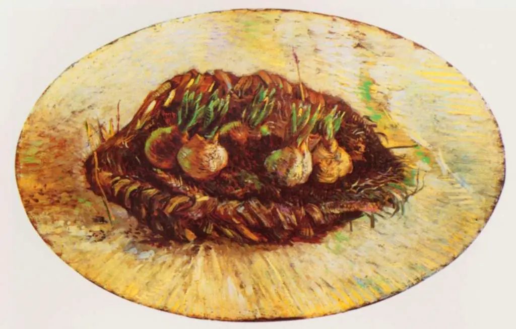 van Gogh Paris 1886-88: Basket Of Sprouting Bulbs