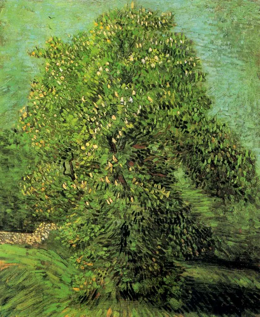 van Gogh Paris 1886-88: Chestnut Tree In Blossom