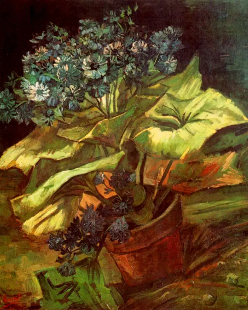 van Gogh Paris 1886-88: Cineraria In A Flowerpot
