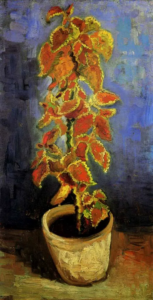 van Gogh Paris 1886-88: Coleus Plant In A Flowerpot
