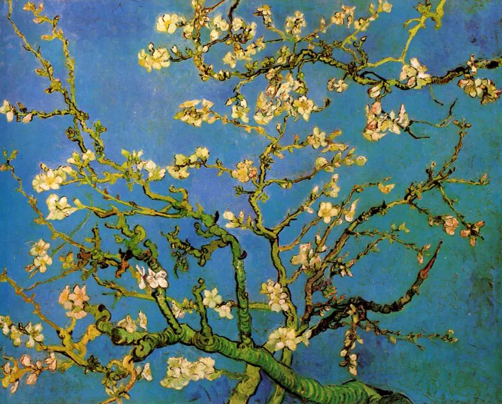 van Gogh Saint Remy 1889-90: Blossoming Almond Tree