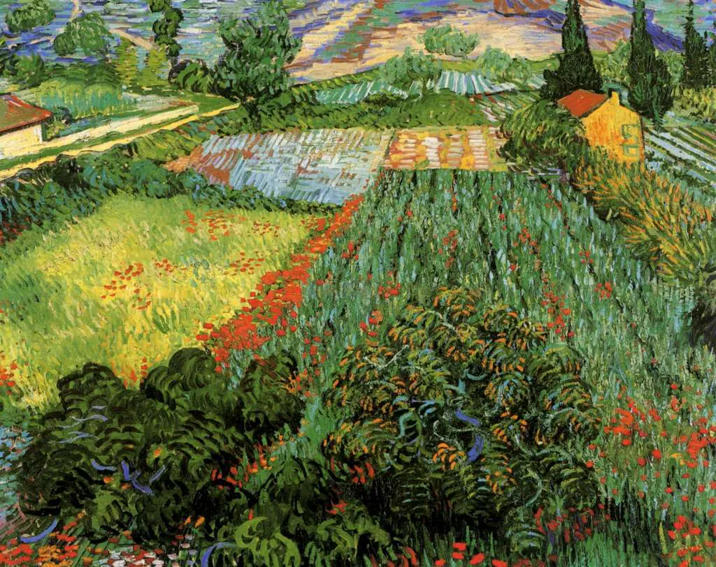 van Gogh Saint Remy 1889-90: Field With Poppies