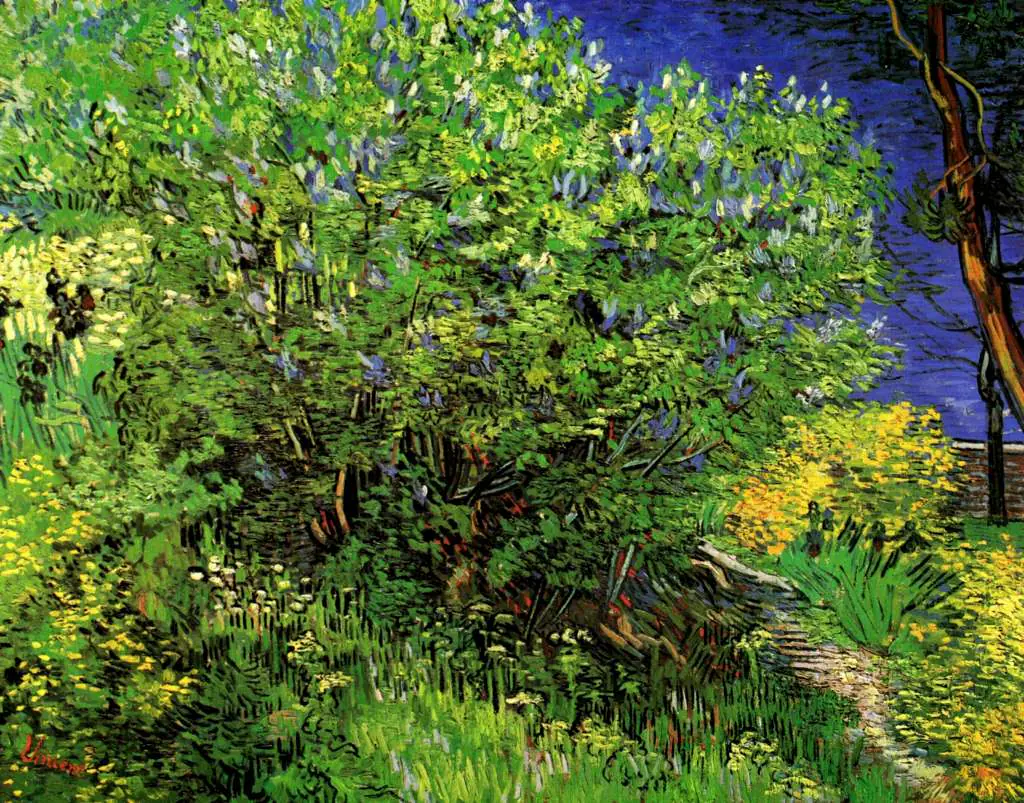 van Gogh Saint Remy 1889-90: Lilacs