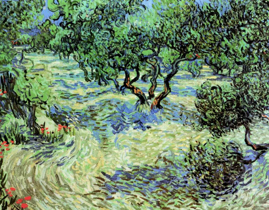 van Gogh Saint Remy 1889-90: Olive Grove