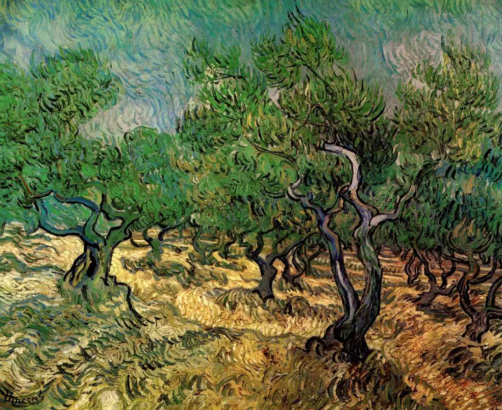 van Gogh Saint Remy 1889-90: Olive Grove2