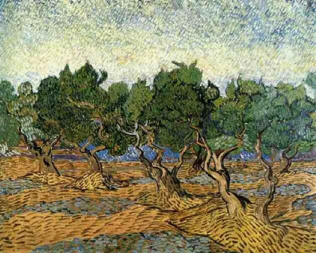 van Gogh Saint Remy 1889-90: Olive Grove3