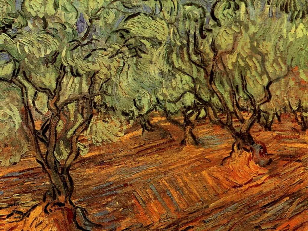 van Gogh Saint Remy 1889-90: Olive Grove Bright Blue Sky
