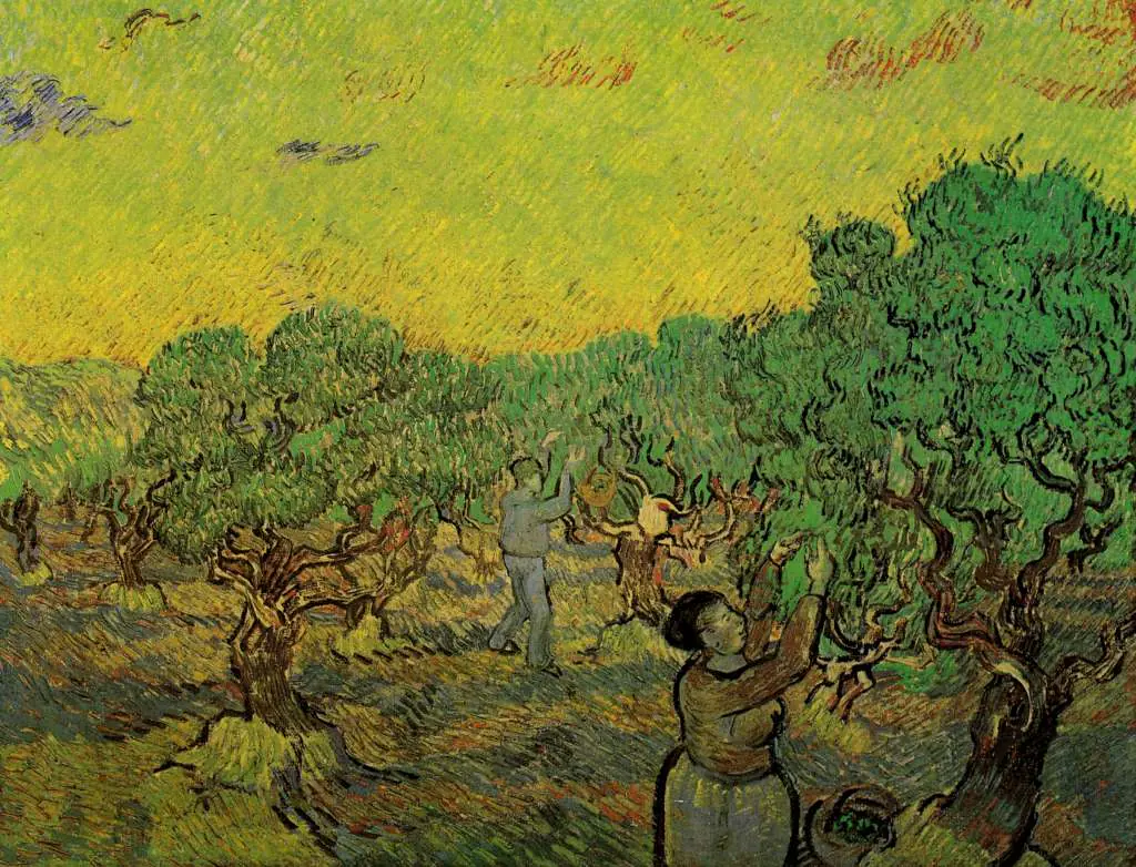 van Gogh Saint Remy 1889-90: Olive Grove With Picking Figures