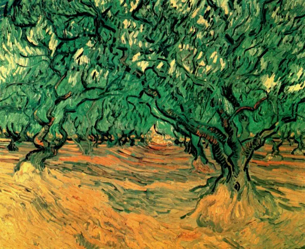 van Gogh Saint Remy 1889-90: Olive Trees