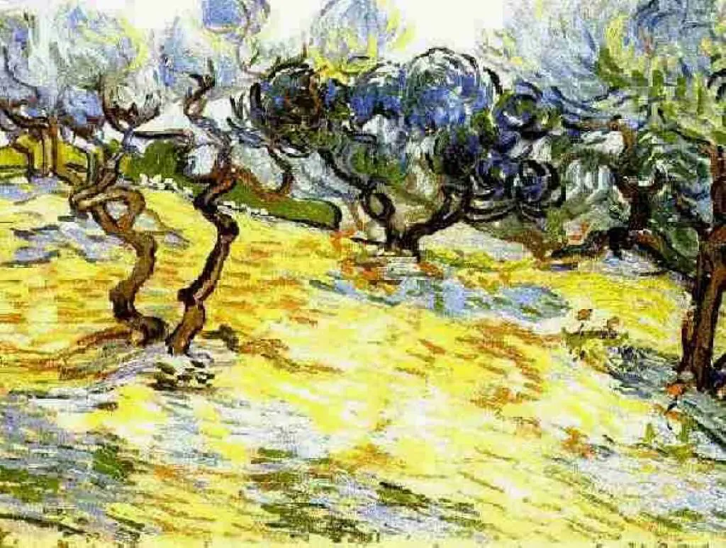 van Gogh Saint Remy 1889-90: Olive Trees Bright Blue Sky