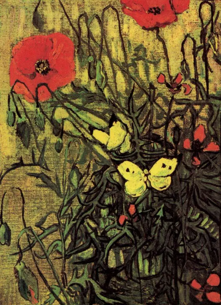 van Gogh Saint Remy 1889-90: Poppies And Butterflies