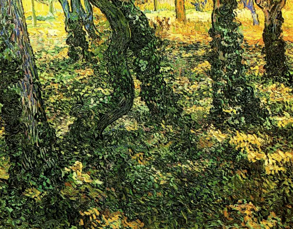 van Gogh Saint Remy 1889-90: Tree Trunks With Ivy