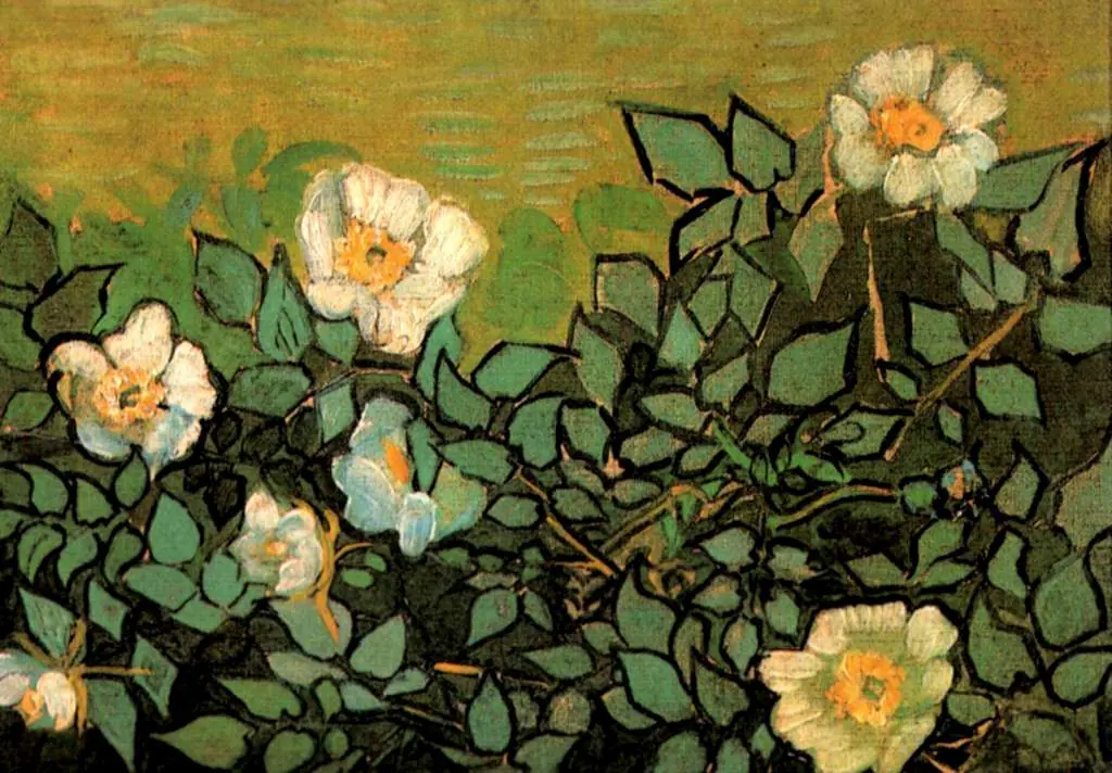 van Gogh Saint Remy 1889-90: Wild Roses